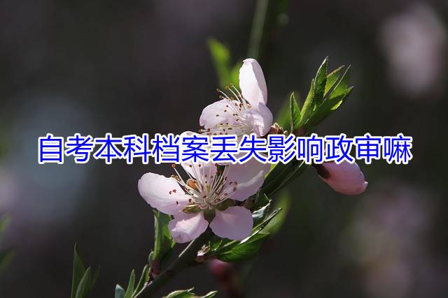 自考本科档案丢失影响政审嘛