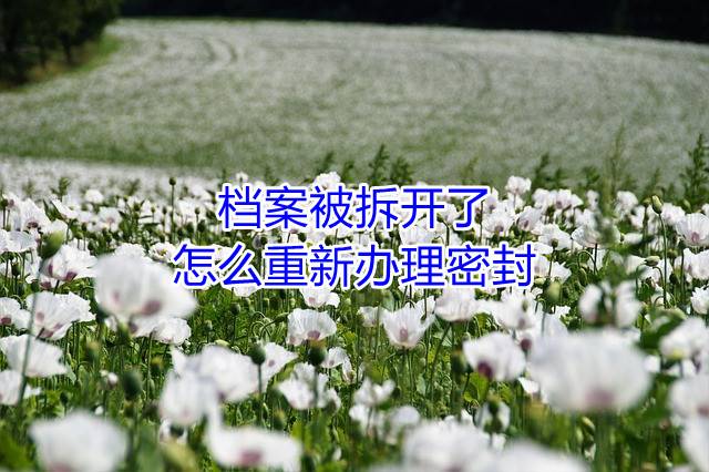 档案被拆开了，怎么重新办理密封