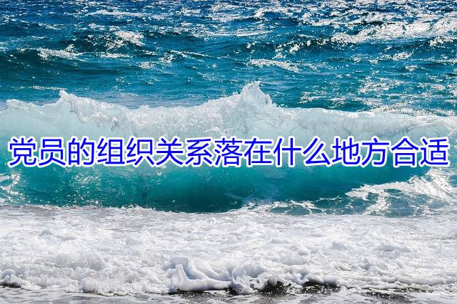 党员的组织关系落在什么地方合适