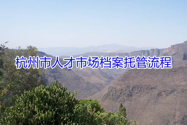 杭州市人才市场档案托管流程