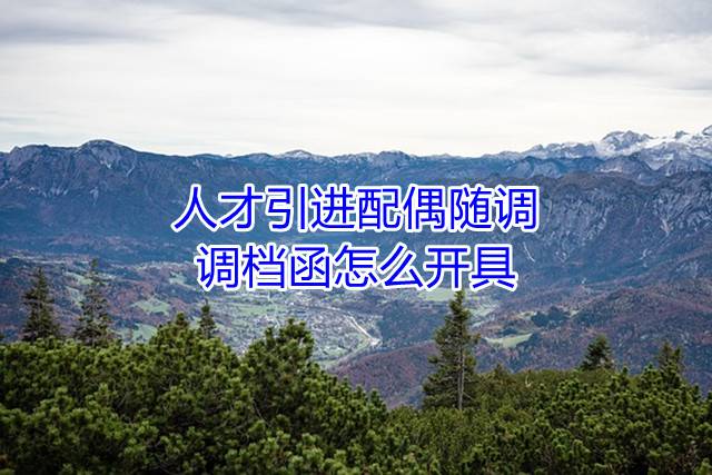 人才引进配偶随调，调档函怎么开具