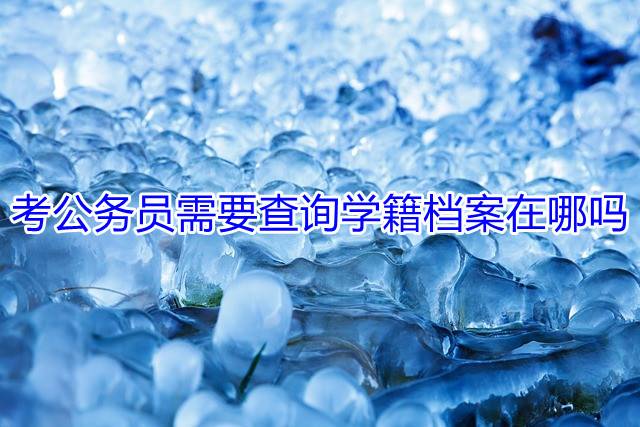 考公务员需要查询学籍档案在哪吗