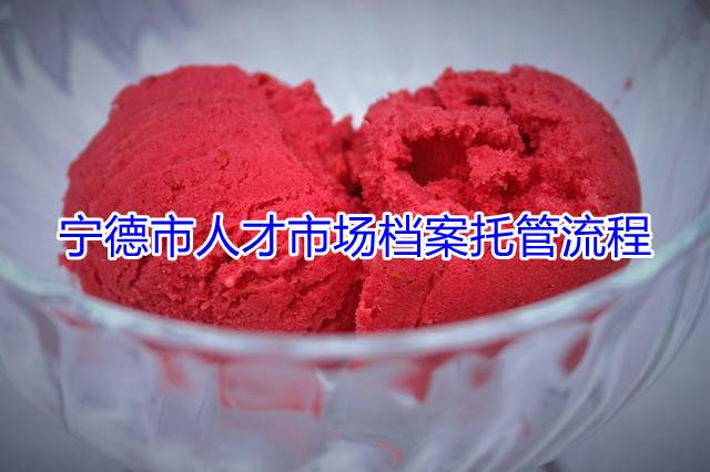 宁德市人才市场档案托管流程