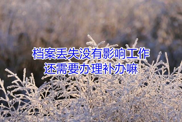 档案丢失没有影响工作，还需要办理补办嘛