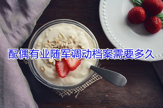 配偶有业随军调动档案需要多久