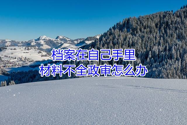 档案在自己手里材料不全政审怎么办
