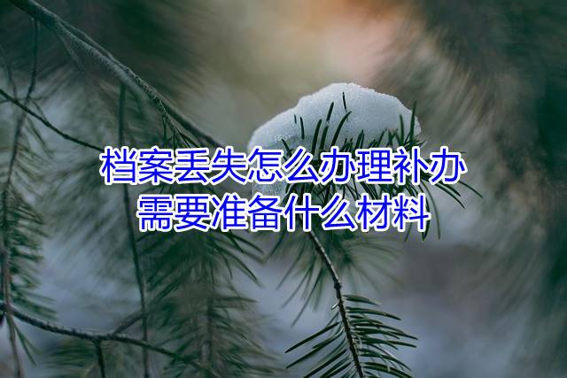 档案丢失怎么办理补办，需要准备什么材料