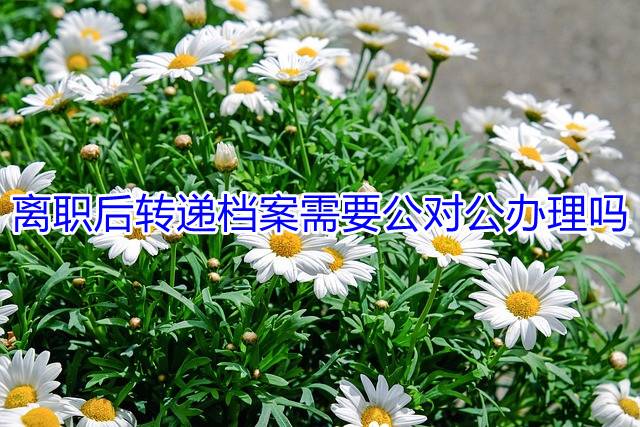 离职后转递档案需要公对公办理吗