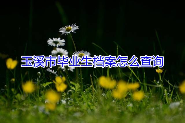 玉溪市毕业生档案怎么查询