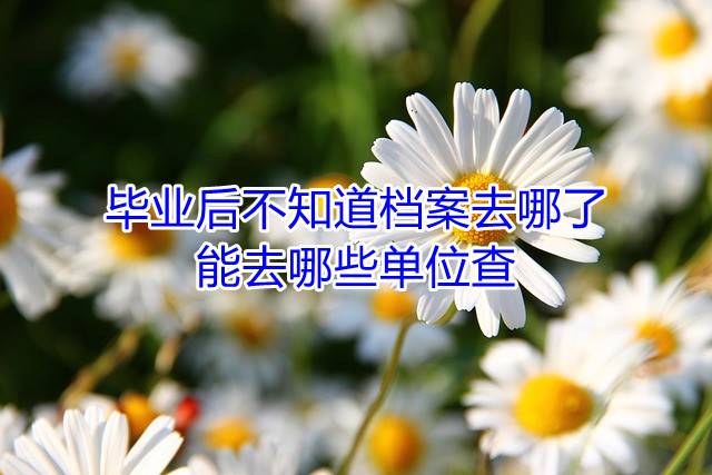 毕业后不知道档案去哪了能去哪些单位查