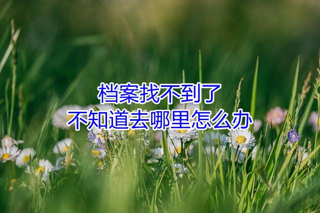 档案找不到了，不知道去哪里怎么办