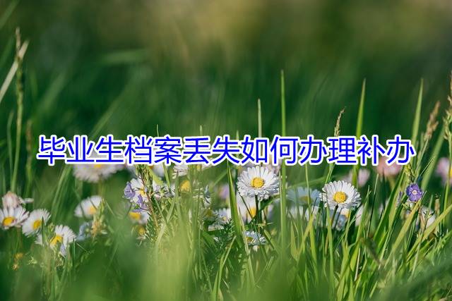 毕业生档案丢失如何办理补办