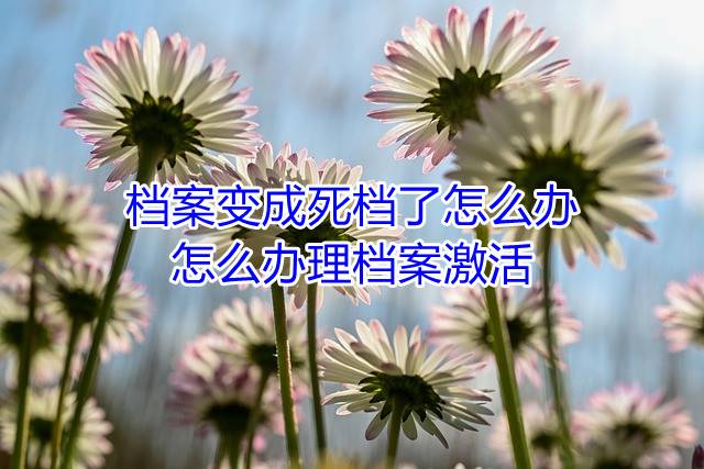档案变成死档了怎么办，怎么办理档案激活