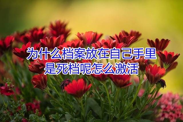 为什么档案放在自己手里是死档呢，怎么激活
