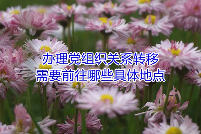 办理党组织关系转移需要前往哪些具体地点