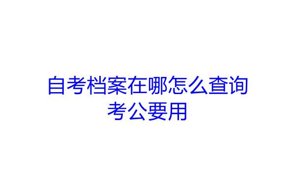 自考档案在哪怎么查询，考公要用