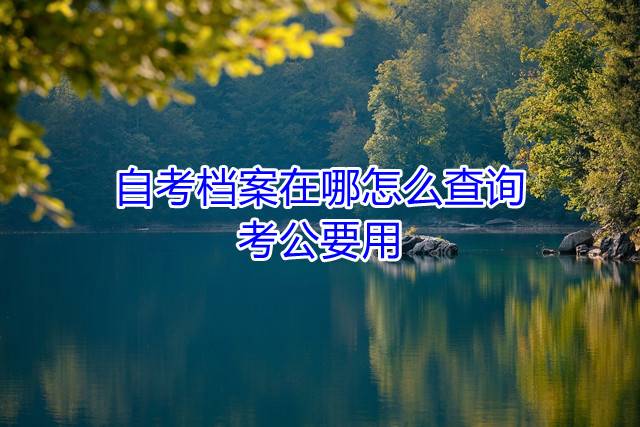 自考档案在哪怎么查询，考公要用