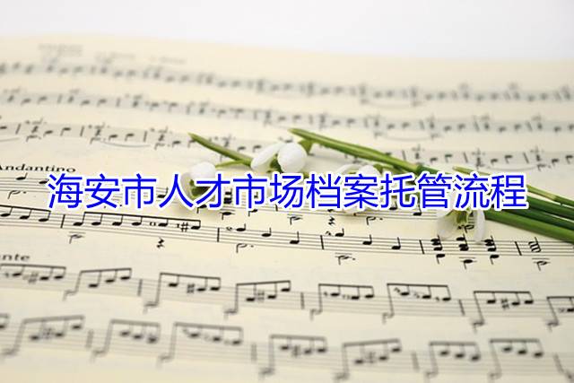 海安市人才市场档案托管流程