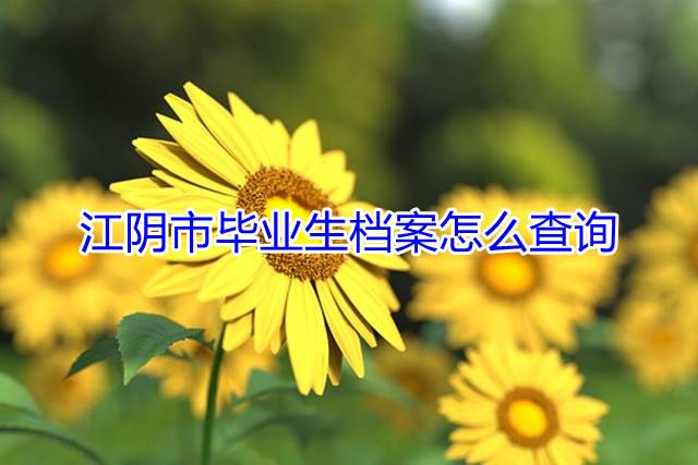 江阴市毕业生档案怎么查询