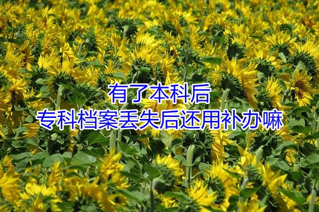 有了本科后，专科档案丢失后还用补办嘛