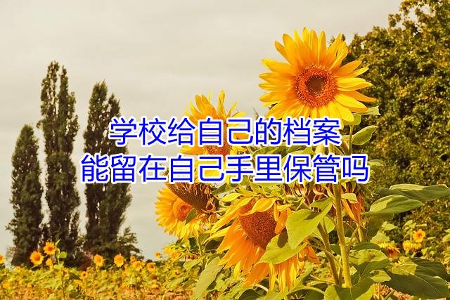 学校给自己的档案能留在自己手里保管吗