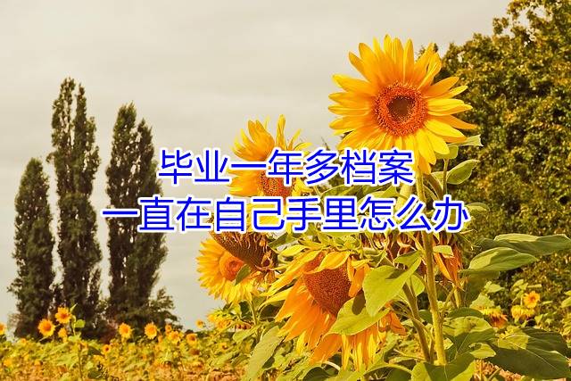 毕业一年多档案一直在自己手里怎么办
