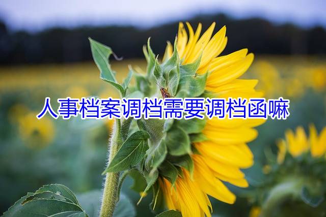 人事档案调档需要调档函嘛