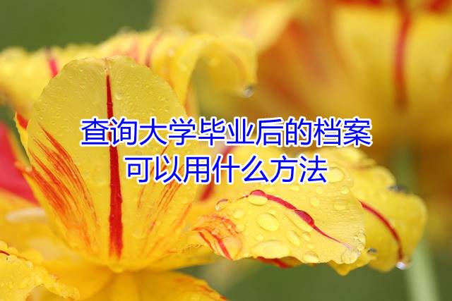 查询大学毕业后的档案可以用什么方法