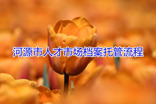 河源市人才市场档案托管流程