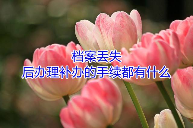 档案丢失后办理补办的手续都有什么