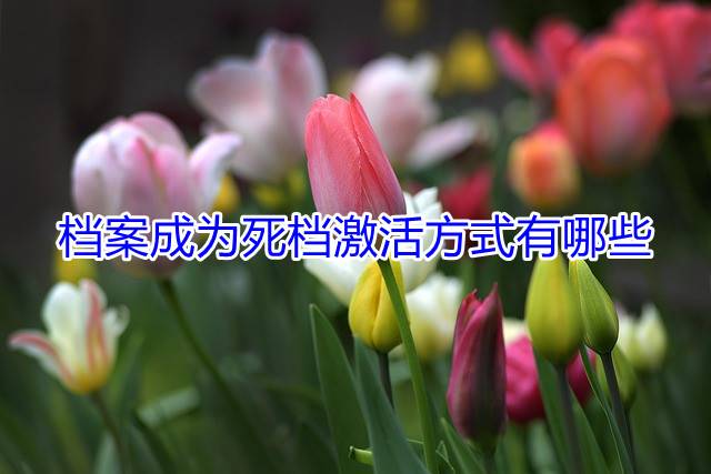 档案成为死档激活方式有哪些