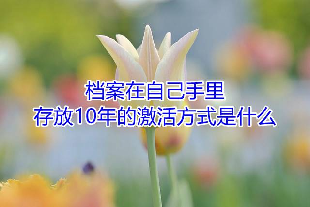 档案在自己手里存放10年的激活方式是什么