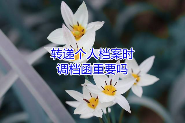 转递个人档案时，调档函重要吗