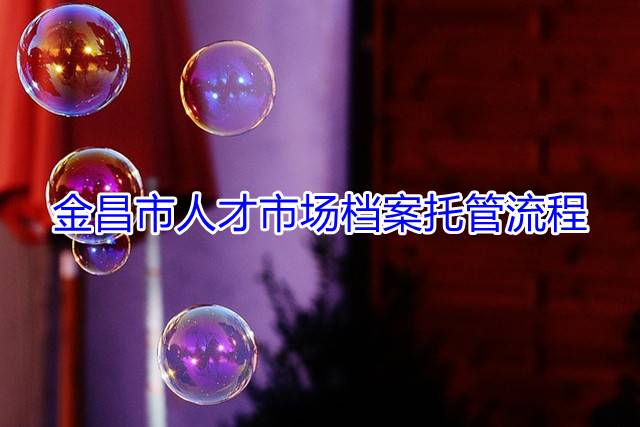 金昌市人才市场档案托管流程