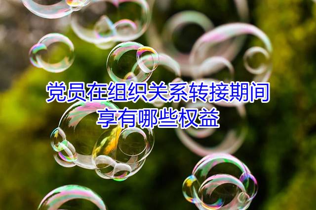 党员在组织关系转接期间，享有哪些权益