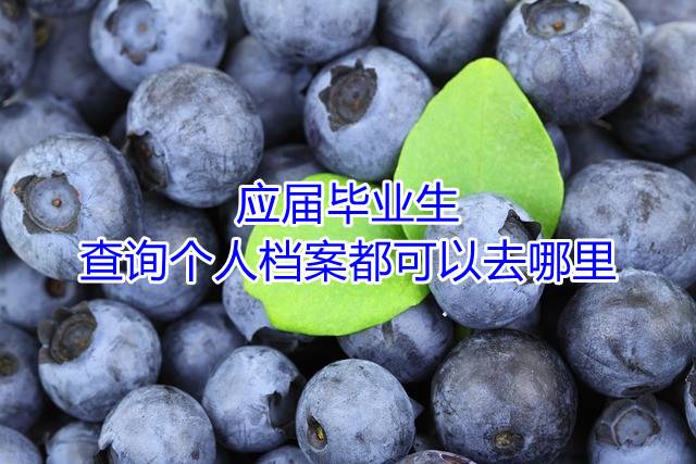 应届毕业生查询个人档案都可以去哪里