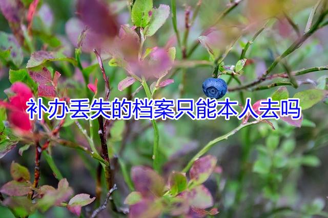 补办丢失的档案只能本人去吗