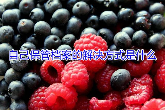 自己保管档案的解决方式是什么