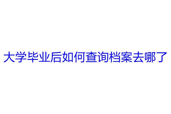 大学毕业后如何查询档案去哪了