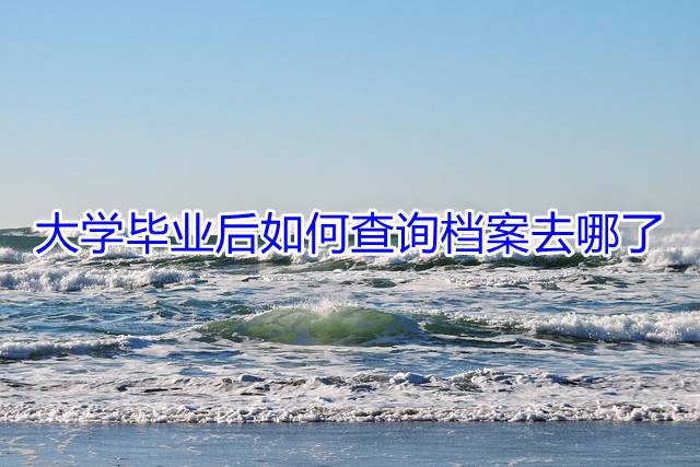 大学毕业后如何查询档案去哪了