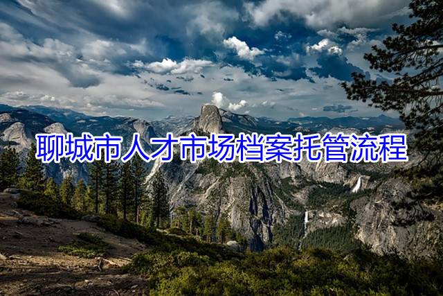聊城市人才市场档案托管流程