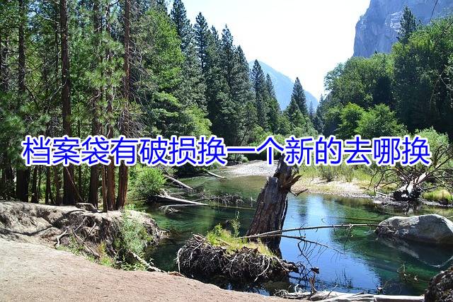 档案袋有破损换一个新的去哪换