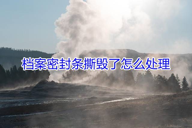档案密封条撕毁了怎么处理