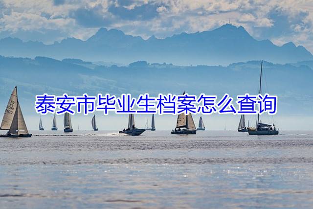 泰安市毕业生档案怎么查询