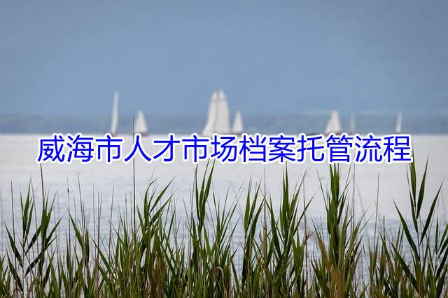 威海市人才市场档案托管流程