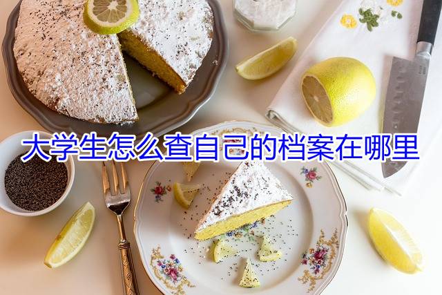 大学生怎么查自己的档案在哪里