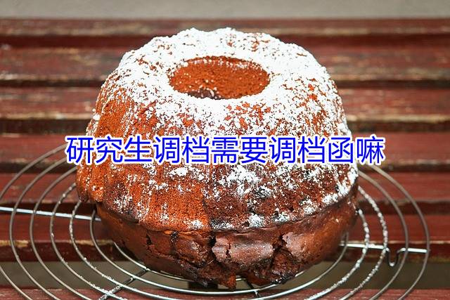 研究生调档需要调档函嘛