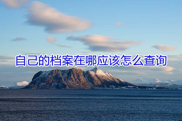 自己的档案在哪应该怎么查询