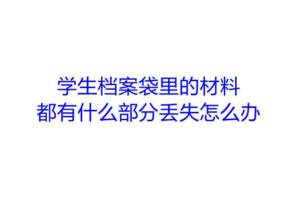 学生档案袋里的材料都有什么部分丢失怎么办