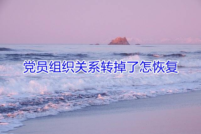 党员组织关系转掉了怎么恢复